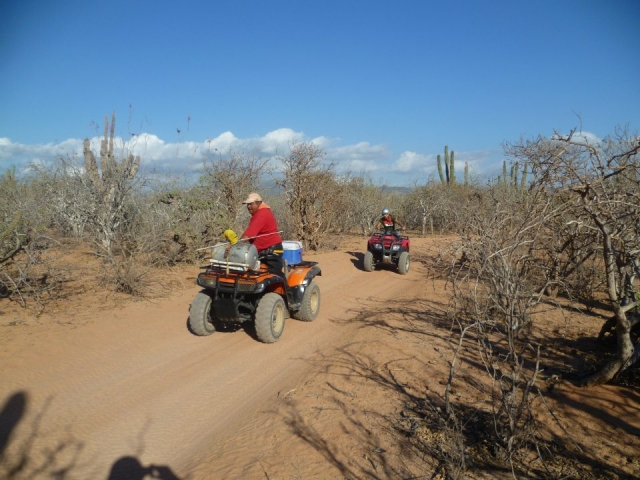  Excursions en moto 